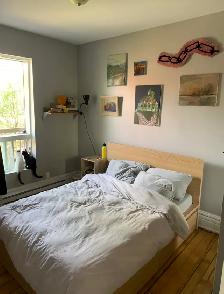 4 1/2 apartment for rent, McGill Ghetto in the Plateau - Photo 10