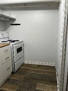 All Inclusive w/ Parking! Bright 1 Bedroom Basement Appartment - Photo 4