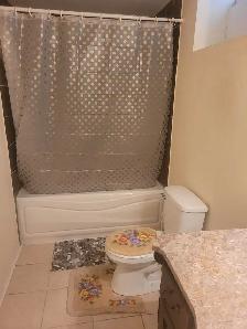 Basement Apartment - Photo 5
