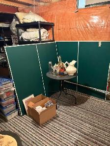 Table Tennis Table for sale Exellant Cond. Quick $100 paid $1700