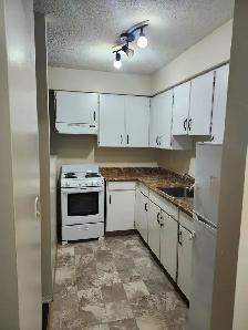 RENTAL INCENTIVE! 1 Bedroom Available now at Villa Margareta! - Photo 2
