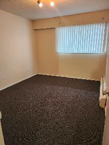 RENTAL INCENTIVE! 1 Bedroom Available now at Villa Margareta! - Photo 3