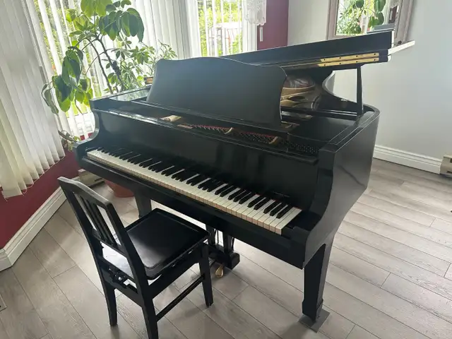 Baby Grand Piano