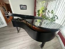 Baby Grand Piano - Photo 2