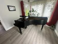 Baby Grand Piano - Photo 3