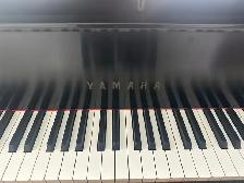 Baby Grand Piano - Photo 4