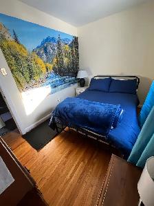 Females preferred- $500 shared $675 private furnished