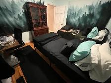 Females preferred- $500 shared $675 private furnished - Photo 5