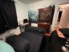 Females preferred- $500 shared $675 private furnished - Photo 6
