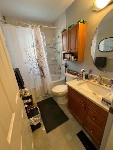 Females preferred- $500 shared $675 private furnished - Photo 10