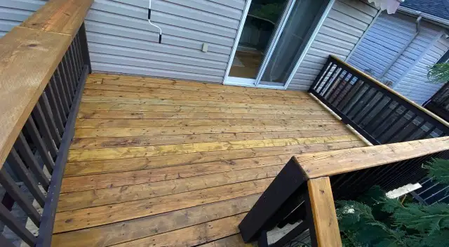 Deck, Fence & Shed Renovator and Painter