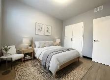 Charming 1-Bedroom Lower-Level Suite for Rent - Photo 4