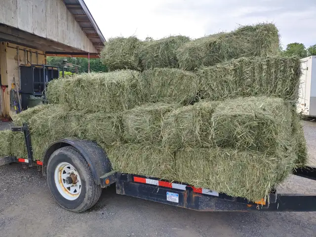 Hay for sale