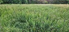 Hay for sale - Photo 2
