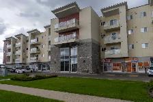 Like new 3 bedroom, 2 bath, condo in the Maples!