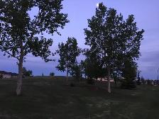 Pet Friendly 3 Bedroom Main Floor Suite with 2 Car Parking Pad - Photo 3