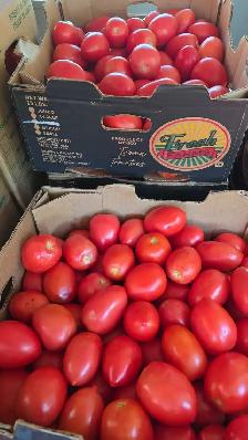 Roma Tomato 25lb box for 30 CAD
