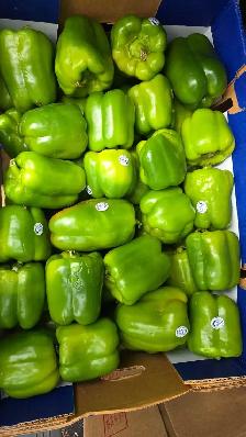 Roma Tomato 25lb box for 30 CAD - Photo 2