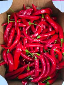 Roma Tomato 25lb box for 30 CAD - Photo 3