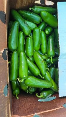 Roma Tomato 25lb box for 30 CAD - Photo 5