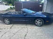 1999 Fire Bird - Photo 2