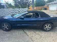 1999 Fire Bird - Photo 6