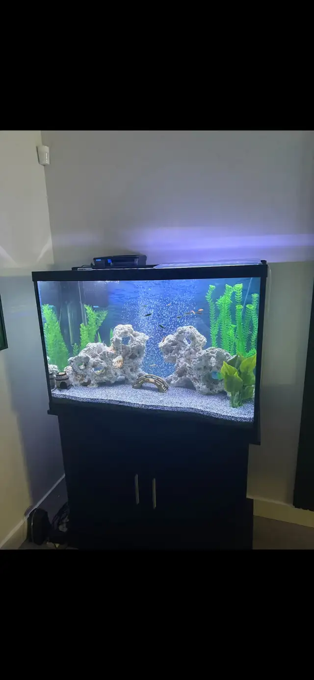 Fish tank for sale
