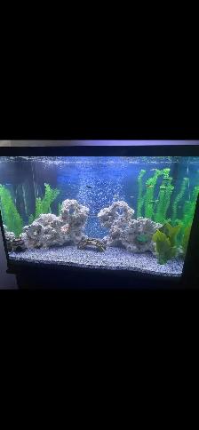 Fish tank for sale - Photo 2