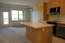 Bright and Modern 1 Bedroom Suite Available in Wolf Willow - Photo 3