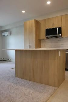 Bright and Modern 1 Bedroom Suite Available in Wolf Willow - Photo 6