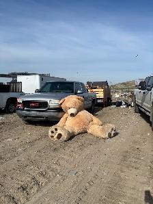 Garbage Removal Service