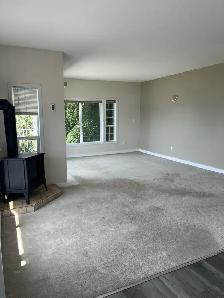 One Bedroom Suite For Rent - Photo 5