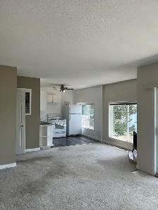 One Bedroom Suite For Rent - Photo 6