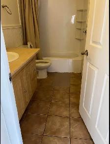 rent apartment - Photo 6