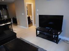 Fully Furnished 1 Bedroom Condo For Rent, S.Side Near Whyte Ave. - Photo 3