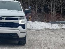 2026 Chevrolet Silverado 1500 RST- Trailering Pkg - Convenience - Photo 7