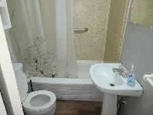 BEAUTIFUL 1 BEDROOM APARTMENT - Photo 7