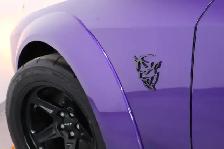 2018 Dodge Challenger SRT DEMON | EXTREMELY LOW MILEAGE | DEMON - Photo 17