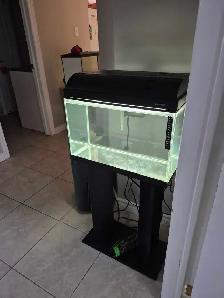 10 Gallon Aquarium Kit - Coral Reef theme