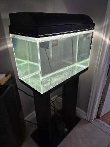10 Gallon Aquarium Kit - Coral Reef theme - Photo 2