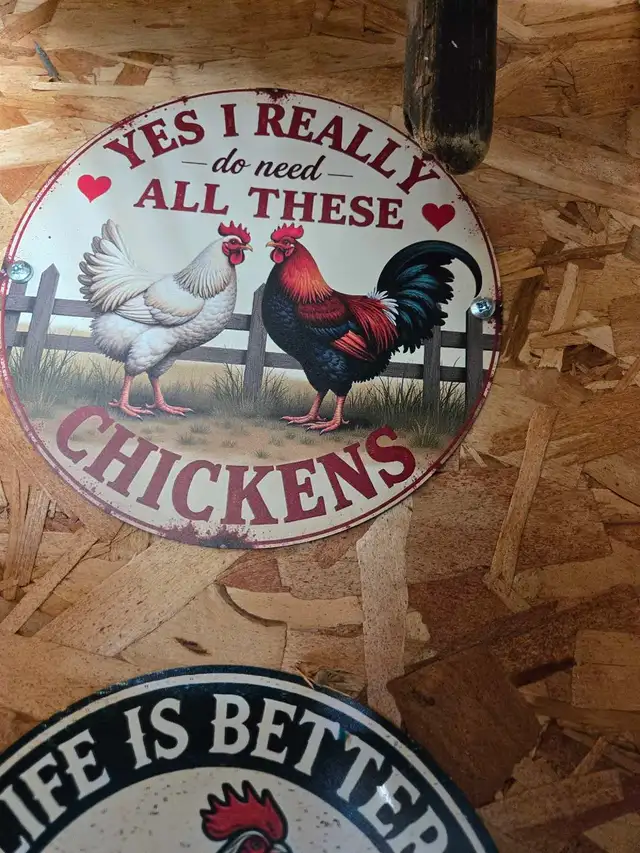 chicken coop decoration