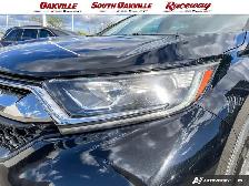 2019 Honda CR-V EX | AWD | SUNROOF | HEATED SEATS | LANE ASSIST - Photo 8