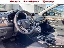 2019 Honda CR-V EX | AWD | SUNROOF | HEATED SEATS | LANE ASSIST - Photo 13