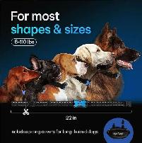 Rechargeable Smart Anti Barking Collar for Dogs - Photo 8