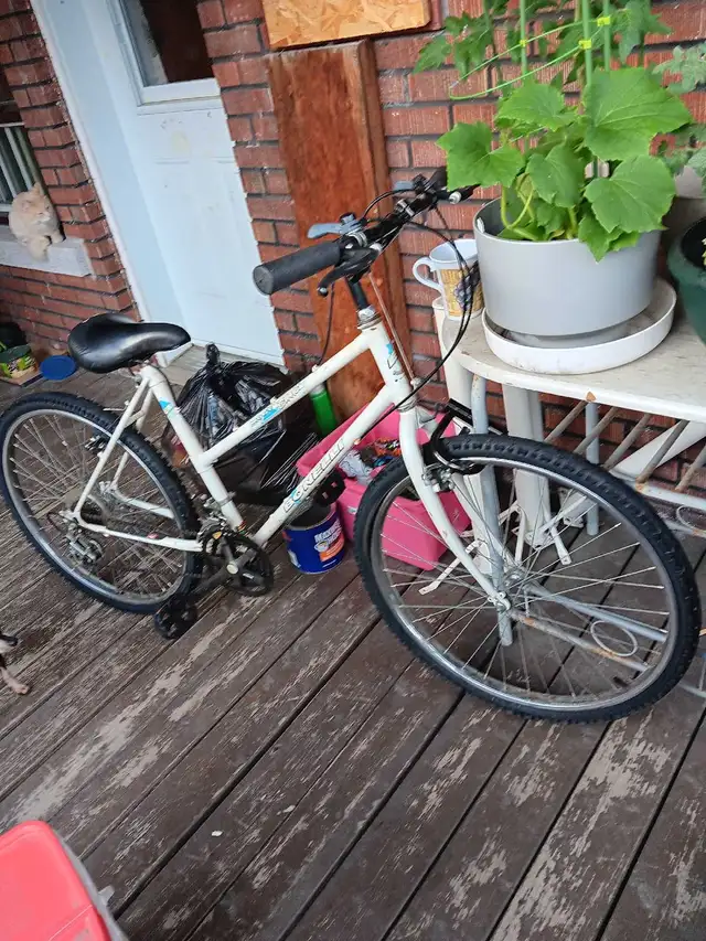 Bicyclette 12 Vitesses 28 pouces