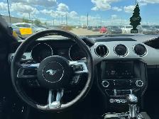 2015 Ford Mustang EcoBoost Premium : Coupe - Photo 7