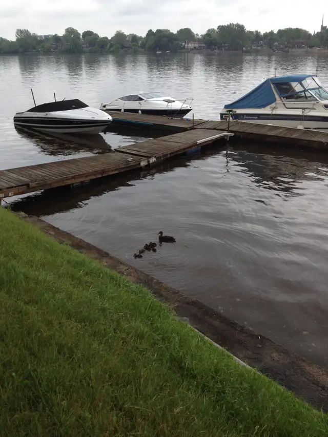 À louer - 1 place pour bateau à quai Laval-des-Rapides, Laval