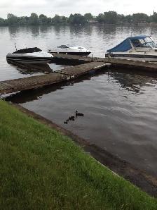 À louer - 1 place pour bateau à quai Laval-des-Rapides, Laval