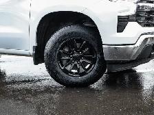 2025 Chevrolet Silverado 1500 LT True North 5.3L - Photo 11