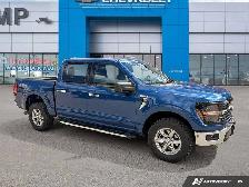 2024 Ford F-150 XLT | 5.0L V8 | 360 Cam | Hitch | Keyless - Photo 8